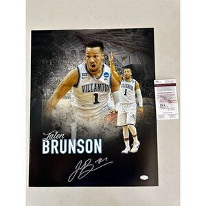 Jalen Brunson signed autographed Villanova Wildcats 16x20 photo JSA